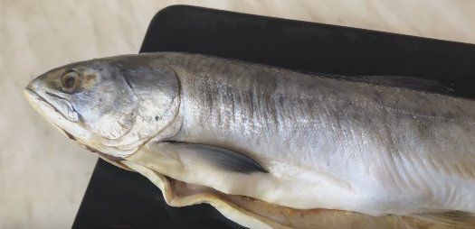 �������������� ������� � �������: ������� ������ ��� ��������