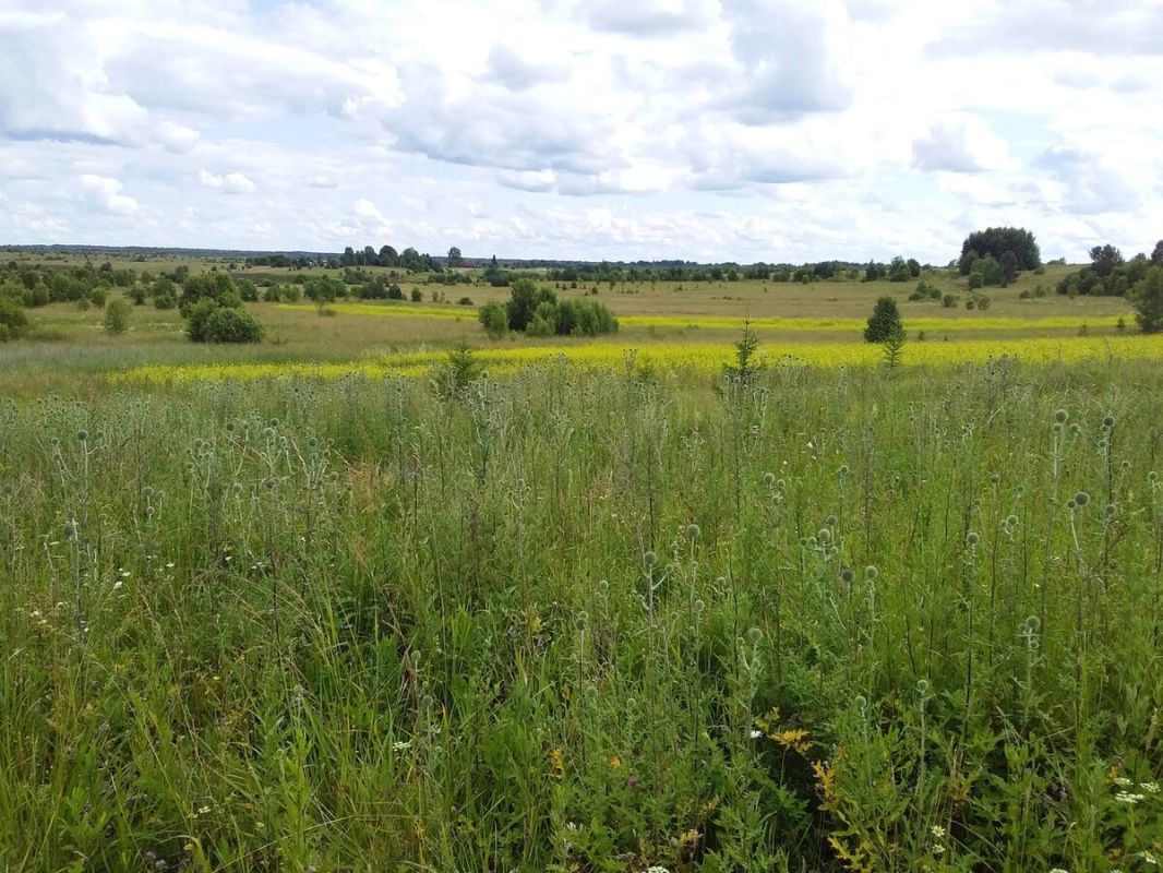 ��� ������� � ��������� ���������� ������� ��������� ��������