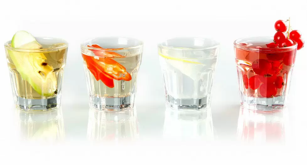 Настойки и наливки: чем они отличаются и что выбрать для вашего стола?