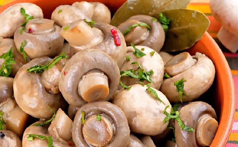 ������� � ������� ������������ ����������