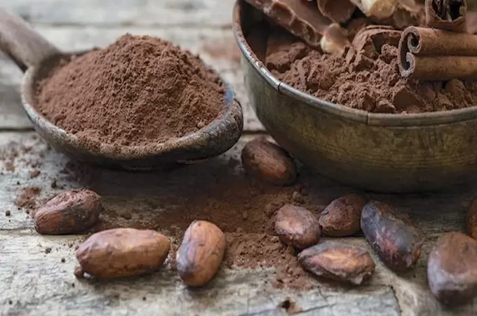 От какао-бобов до десертов: разбираемся в какао-крупке и порошке