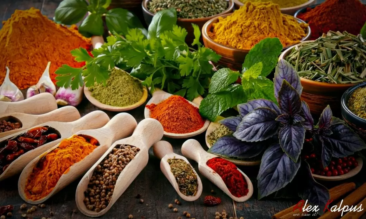 Погружение в мир грузинской кулинарии: увлекательные названия и термины