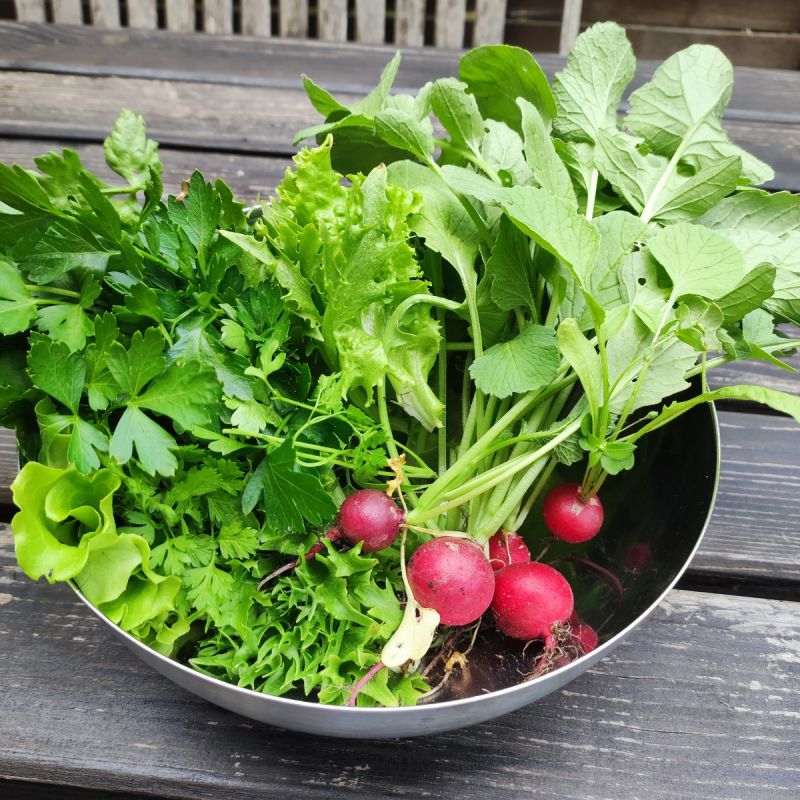 ������ �����������: ���������� ���� �� ���������� �������