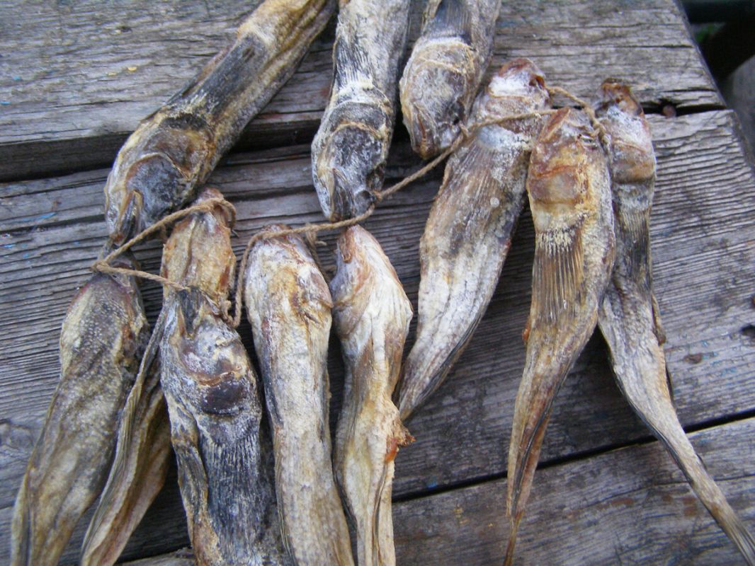 ��� ������� ������ ������� �� ������: ������� ��������� �������������