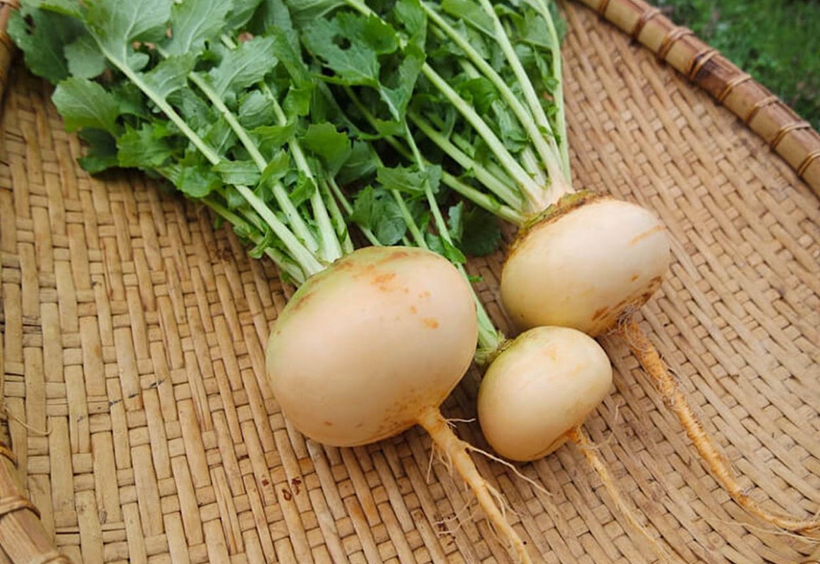 ���� � ������ ��������: ��� ������� ��������� ����� ����������� ������������