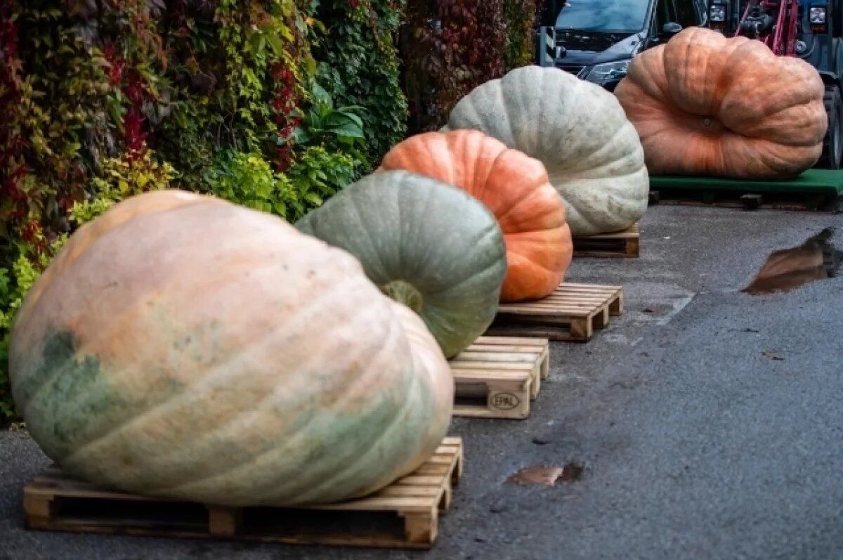 ��������� ����� ����� � �����: ������� �� ��� ������� �������������������� �������