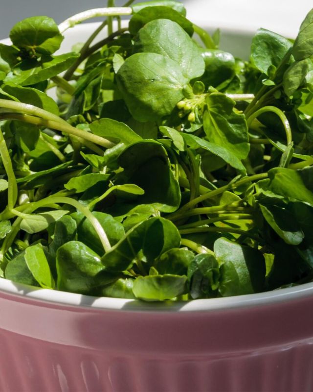 �����-�����: ����, ������� ����� � ������ ��������