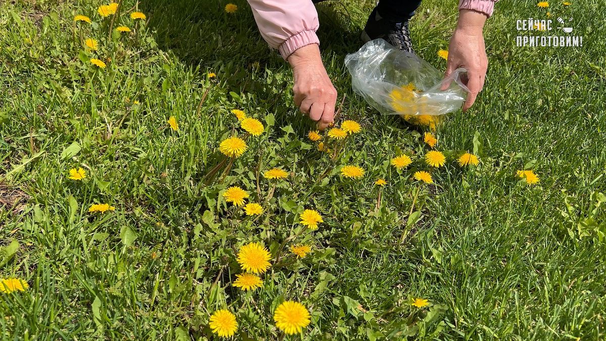 ������ ���������� ����� ������� ������� ������ ��� ���: ��������� ������