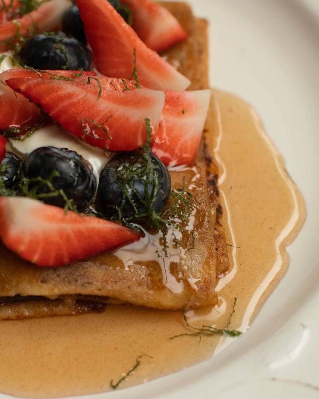 ��������� � ���������� Novikov Group: ���������� � ��� ������ � ����� ������