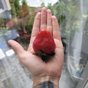 ��� ����������� �������� � ��� ��������� ����������� � ������ �� ��������