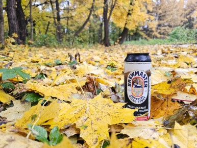 ���������� ��������� ����� �� �����: ����� ������ ��������