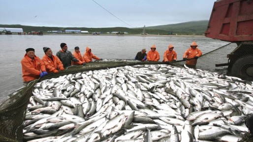 ������ �� ������� 15 ����� ������ ���� �������� � ���������?