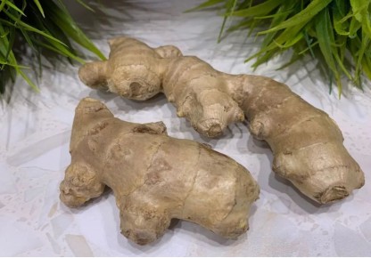 ��� ����� ��������� �������� ������ �� ��������� �������: ������� ������