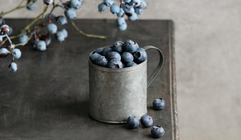 ������ �����: ������� ������ ���������� �������� � �������� ���������