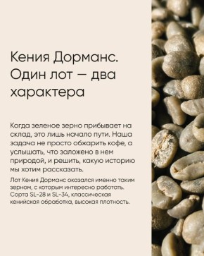 ������� ���������� �����: ��� ������ ������ ������