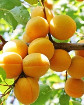 16 ������ ���������, ������� ����� �������� ���� ������: �������� ������