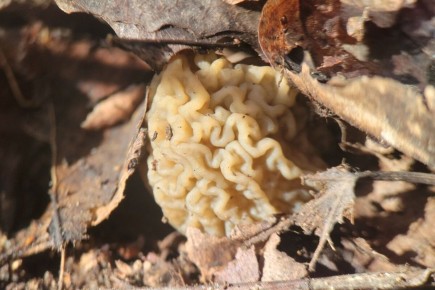 �������� ������� ��� �������: ��������� �� �� ������?