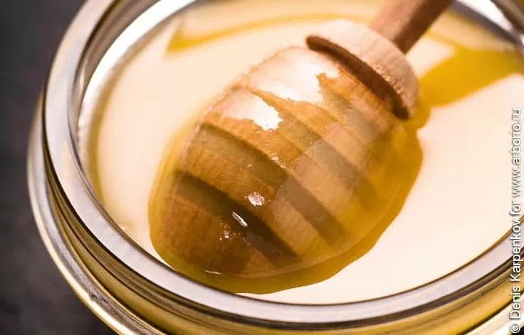 Можно ли нагревать мёд: мифы и реальность