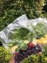 Откройте для себя искусство су-вид: кулинарная революция на вашей кухне