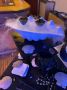 ������� �������: ��� Caviar Bar ���������� ����������� � ������������ �������